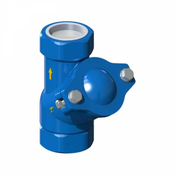 Valvola di ritegno a palla da 11/2" in ghisa